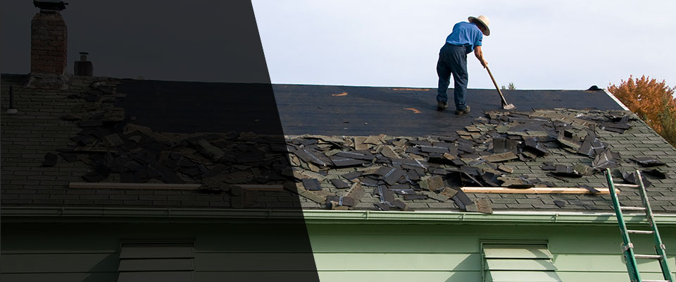 Bodega Roofing Contractors